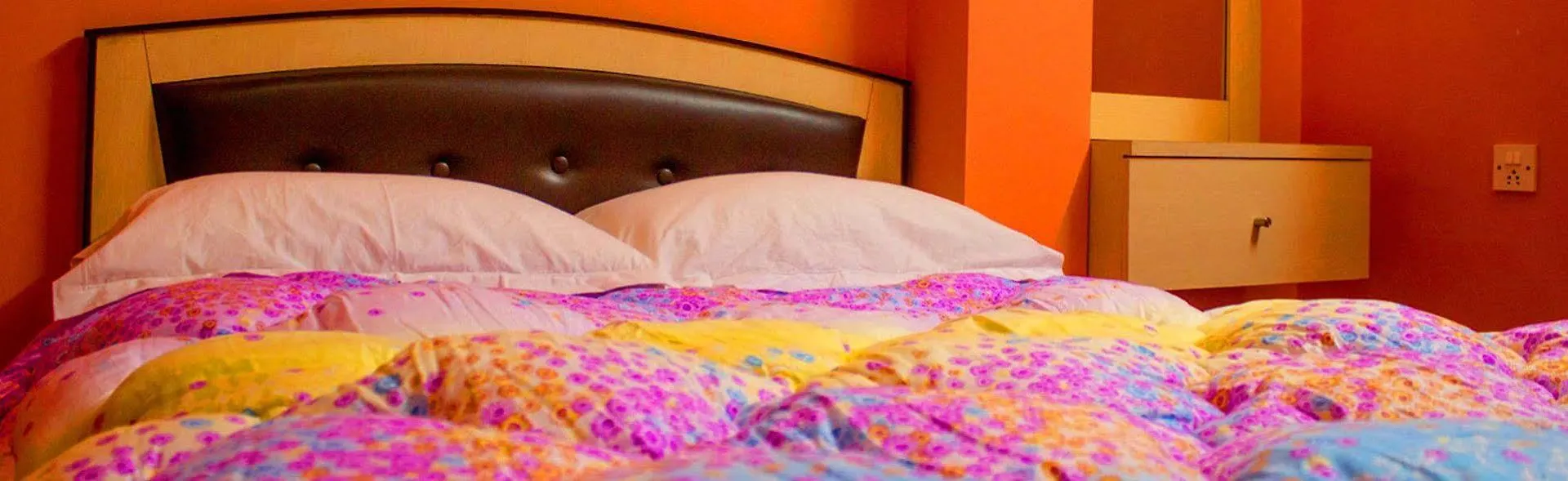 Hotel Mansarover Kathmandu Nepal